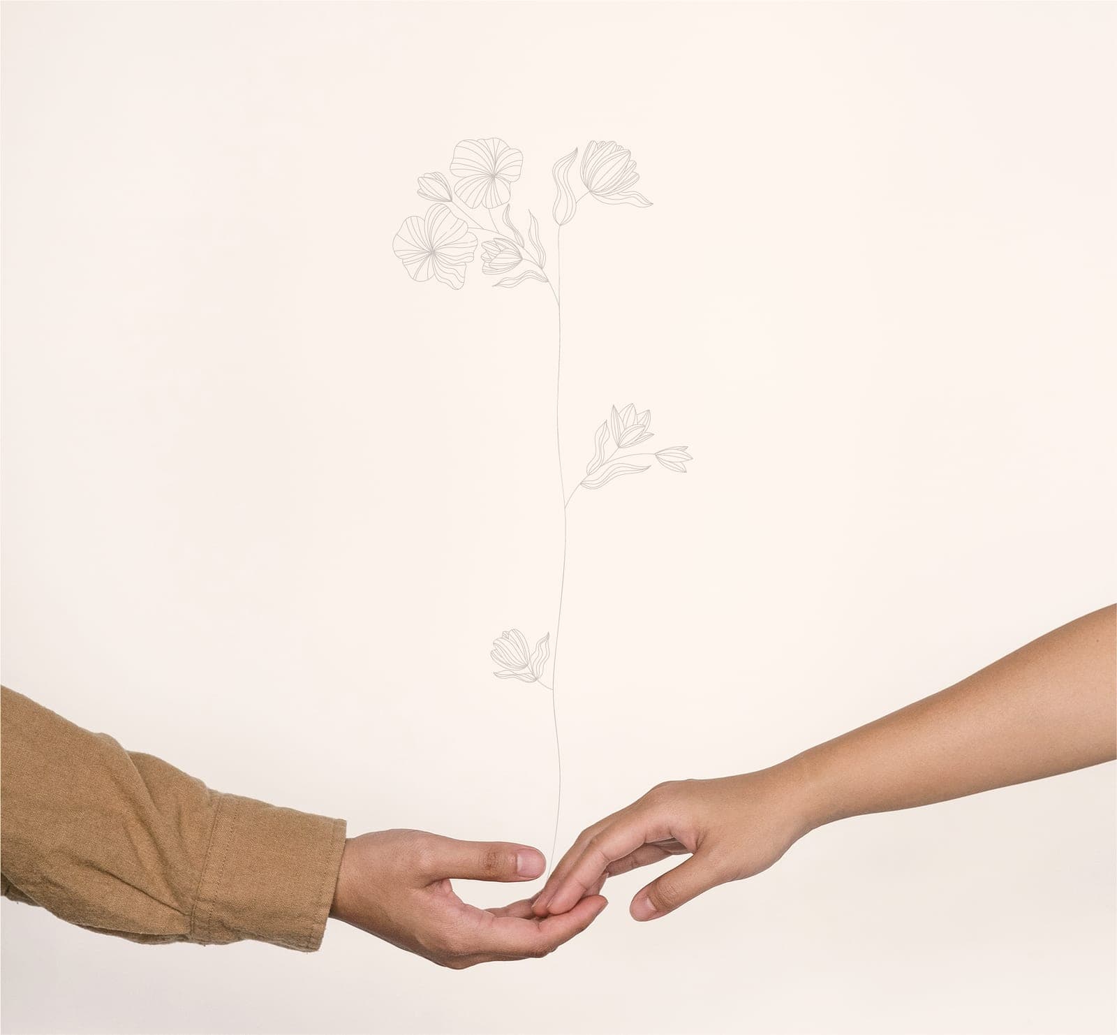 Two hands reaching towards each other beside a drawn seedling